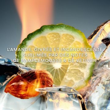 L'Homme Idéal Cologne Forte Eau de Parfum Édition Limitée 100ml