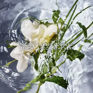 Aqua Allegoria Herba Fresca 75ml - Guerlain - Parfum - Visuel 3