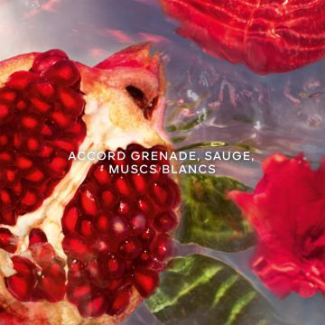 Aqua Allegoria Granada Salvia 75ml - Guerlain - Parfum - Visuel 2