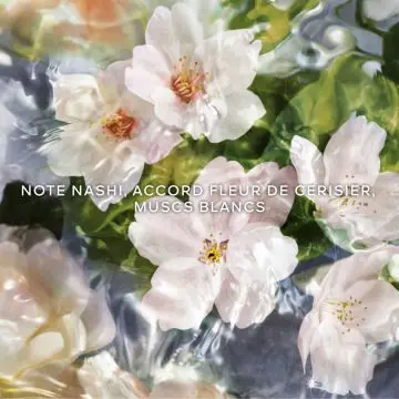 Aqua Allegoria Flora Cherrysia 75ml - Guerlain - Parfum - Visuel 3