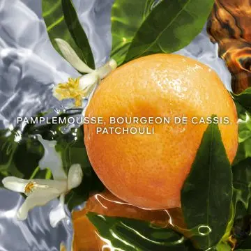 Aqua Allegoria Pamplelune 125ml - Guerlain - Parfum - Visuel 3