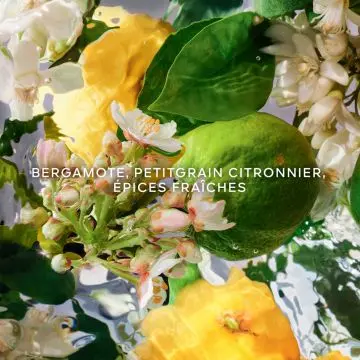 Aqua Allegoria Bergamote Calabria 125ml - Guerlain - Parfum - Visuel 3