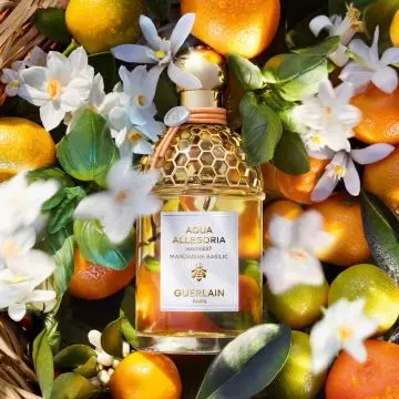 Aqua Allegoria Harvest Mandarine Basilic - Eau de Toilette 125ml - Guerlain - Parfum - Visuel 2