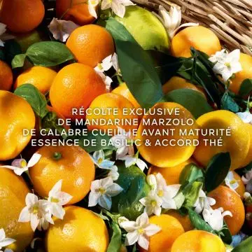 Aqua Allegoria Harvest Mandarine Basilic - Eau de Toilette 125ml - Guerlain - Parfum - Visuel 3