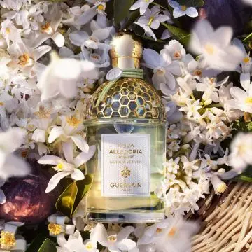 Aqua Allegoria Harvest Nerolia Vetiver - Eau de Toilette 125ml - Guerlain - Parfum - Visuel 2