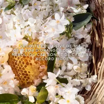 Aqua Allegoria Harvest Nerolia Vetiver - Eau de Toilette 125ml - Guerlain - Parfum - Visuel 3
