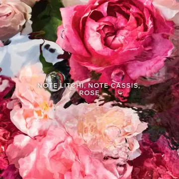 Aqua Allegoria Recharge Rosa Rossa 200ml - Guerlain - Parfum - Visuel 3