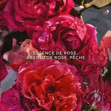Aqua Allegoria Forte Rosa Rossa 75ml - Guerlain - Parfum - Visuel 3