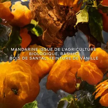 Aqua Allegoria Forte Mandarine Basilic 75ml - Guerlain - Parfum - Visuel 3