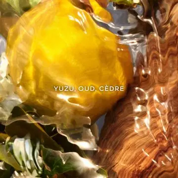 Aqua Allegoria Forte Recharge Oud Yuzu 200ml - Guerlain - Parfum - Visuel 3