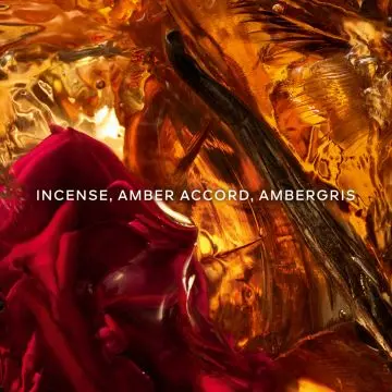 Absolus Allegoria Ambre Samar Eau de Parfum 125ml - Guerlain - Parfum - Visuel 3