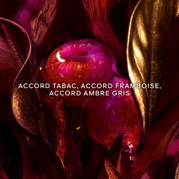 Absolus Allegoria Tabac Sahara Eau de Parfum 125ml - Guerlain - Parfum - Visuel 2