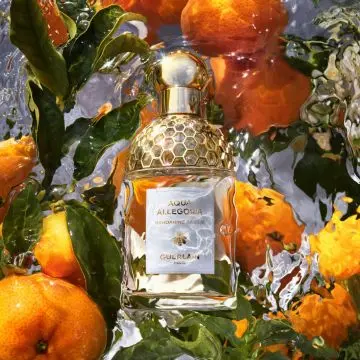 Coffret Aqua Allegoria Mandarine Basilic Eau de Toilette 125ml, Lait Corps & Miniature  - Guerlain - Parfum - Visuel 3