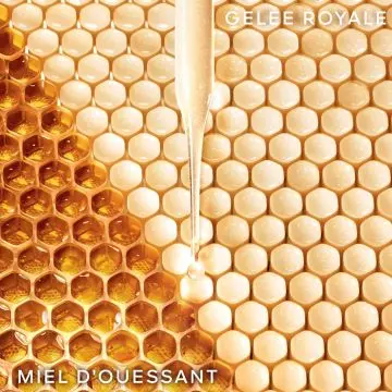 Lotion Fortifiante à la Gelée Royale Abeille Royale 150ml - Guerlain - Soin - Visuel 3