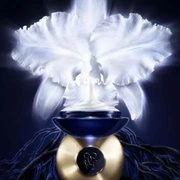 Orchidée Impériale La Crème Légère 50 ml - Guerlain - Soin - Visuel 3