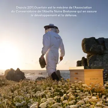 Coffret Abeille Royale Crème Jour Honey Treatment, Sérum Huile-en-Eau Jeunesse & Sérum Advanced Double R Renew & Repair  - Guerlain - Soin - Visuel 4