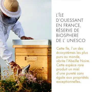 Abeille Royale Baume Réparateur Jeunesse Des Mains 
