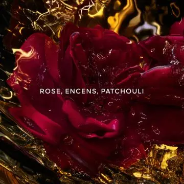 Absolus Allegoria Rose Amira Brume Cheveux 40ml - Guerlain - Soin - Visuel 3