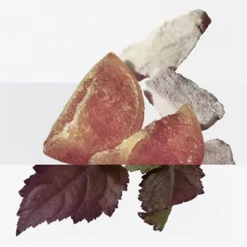 Elixir des Merveilles Calligraphie Eau de Parfum 100ml - Hermès - Parfum - Visuel 2