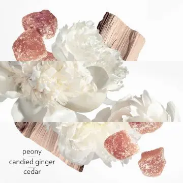 Twilly d'Hermès Eau Ginger Eau de Parfum 50ml - Hermès - Parfum - Visuel 4