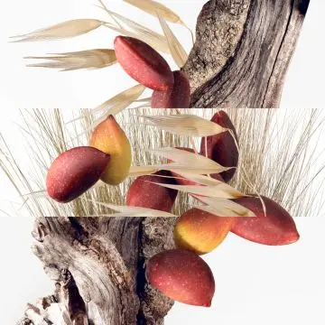 Un jardin à Cythère Eau de Toilette 50ml - Hermès - Parfum - Visuel 3