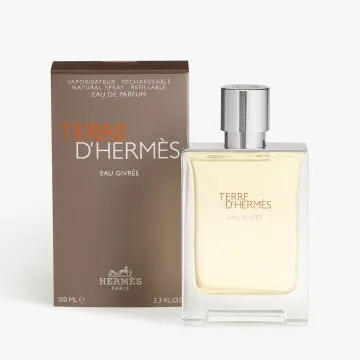 Terre d'Hermès Eau Givrée Eau de Parfum 100ml - Hermès - Parfum - Visuel 2