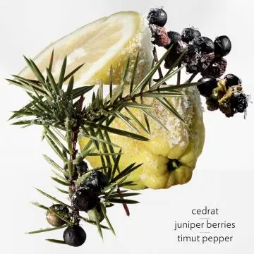 Terre d'Hermès Eau Givrée Eau de Parfum 100ml - Hermès - Parfum - Visuel 3