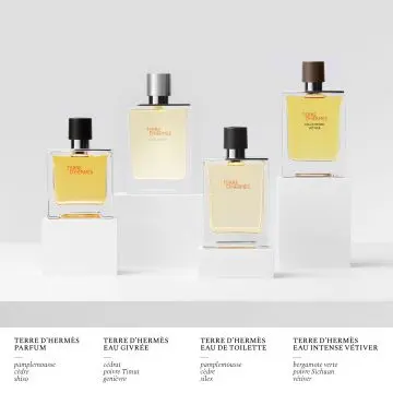 Terre d'Hermès Eau Givrée Eau de Parfum 50ml - Hermès - Parfum - Visuel 4