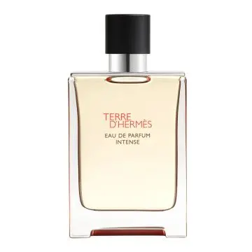 Terre d'Hermès Eau de Parfum Intense 100ml - Hermès - Parfum - Visuel 1