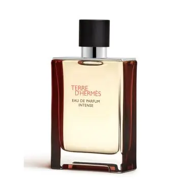 Terre d'Hermès Eau de Parfum Intense 100ml - Hermès - Parfum - Visuel 2