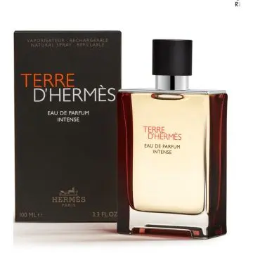 Terre d'Hermès Eau de Parfum Intense 100ml - Hermès - Parfum - Visuel 3