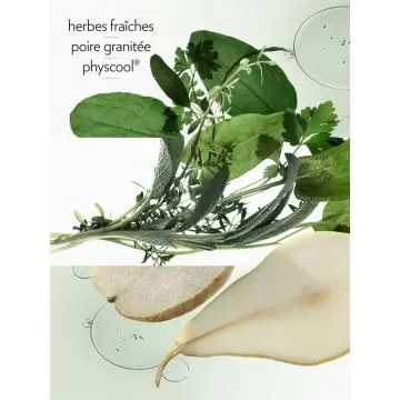 H24 Herbes Vives Recharge Eau de Parfum 200ml H24 Herbes Vives Recharge Eau de Parfum 200ml