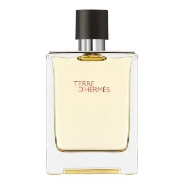 Terre d'Hermès Eau de Toilette 100ml - Hermès - Parfum - Visuel 1