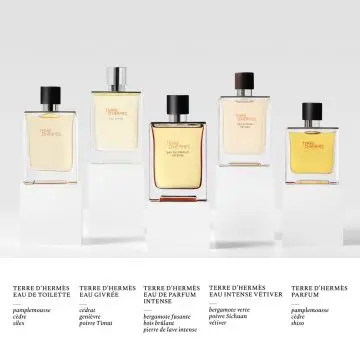 Terre d'Hermès Eau Intense Vétiver Eau de Parfum 50ml - Hermès - Parfum - Visuel 4