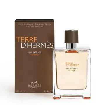 Terre d'Hermès Eau Intense Vétiver Eau de Parfum 100ml - Hermès - Parfum - Visuel 2