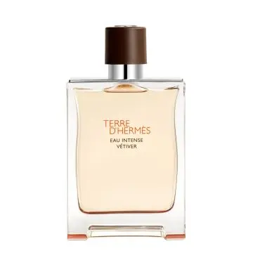 Terre d'Hermès Eau Intense Vétiver Eau de Parfum 200ml - Hermès - Parfum - Visuel 1