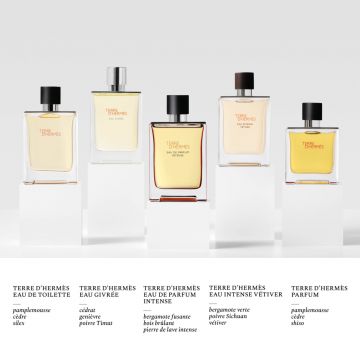 Terre d'Hermès Eau Intense Vétiver Eau de Parfum 200ml - Hermès - Parfum - Visuel 4