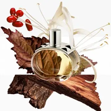 Barénia Brume Cheveux 30ml - Hermès - Soin - Visuel 3