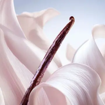 La Vie est Belle Vanille Nude Brume Corps & Cheveux 100ml