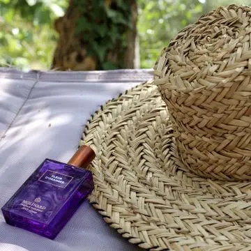 Fleur d'Oranger Eau de Parfum 75ml - Molinard - Parfum - Visuel 2