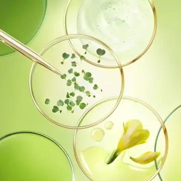 Nuxuriance Ultra La Crème Anti-Âge Global 50ml - Nuxe - Soin - Visuel 3 Nuxuriance Ultra La Crème Anti-Âge Global 50ml - Nuxe - Soin - Visuel 3