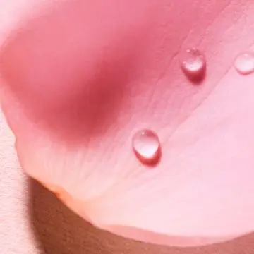 Very Rose Eau Voluptueuse Parfumante 100ml - Nuxe - Soin - Visuel 4