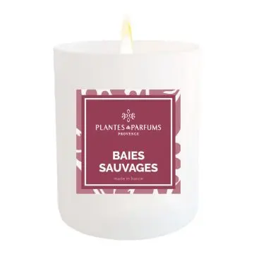 Baies Sauvages 180g - PLANTES & PARFUMS - Accessoire - Visuel 1