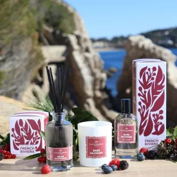 Baies Sauvages 200ml - PLANTES & PARFUMS - Accessoire - Visuel 3