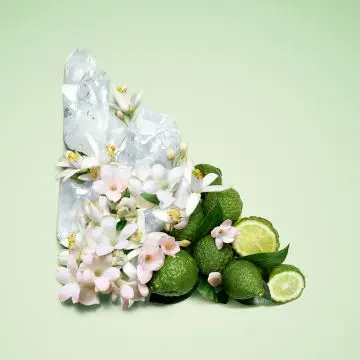 Paradoxe Virtual Flower Recharge Eau de Parfum 100ml - Prada - Parfum - Visuel 3
