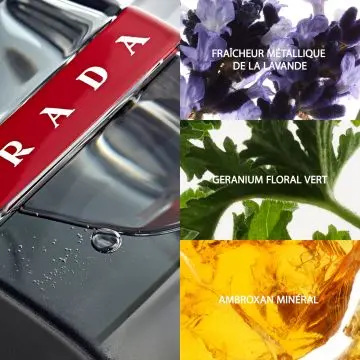 Luna Rossa Carbon Eau De Toilette 50ml - Prada - Parfum - Visuel 3 Luna Rossa Carbon Eau De Toilette 50ml - Prada - Parfum - Visuel 3