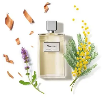Mimosa Eau de Toilette  100ml - Reminiscence - Parfum - Visuel 2 Mimosa Eau de Toilette  100ml - Reminiscence - Parfum - Visuel 2