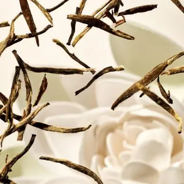 Coffret The Ritual of Karma Mousse de Douche, Crème Corps & Huile Corps Scintillante  - Rituals - Soin - Visuel 3