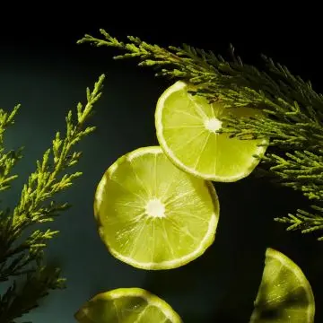 Rituals Homme Coffret Voyage  - RITUALS - Soin - Visuel 4 Rituals Homme Coffret Voyage  - RITUALS - Soin - Visuel 4