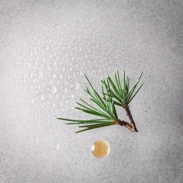 Rituals Homme Spray Anti-Transpirant 200ml - RITUALS - Soin - Visuel 2